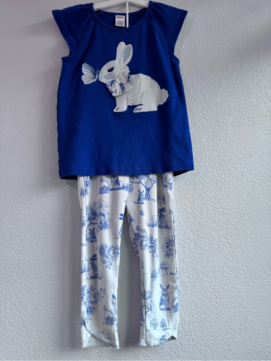 Gymboree Other - Gymboree Girls Bunny Outfit Set – Top Size 8 / Capri Leggings Size 7